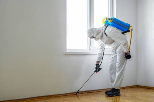 Emergency Pest Control in Glen Cove, NY